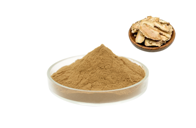 Angelica Sinensis Wall-Broken Raw Powder
